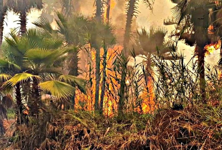 Incendio en Todos Santos