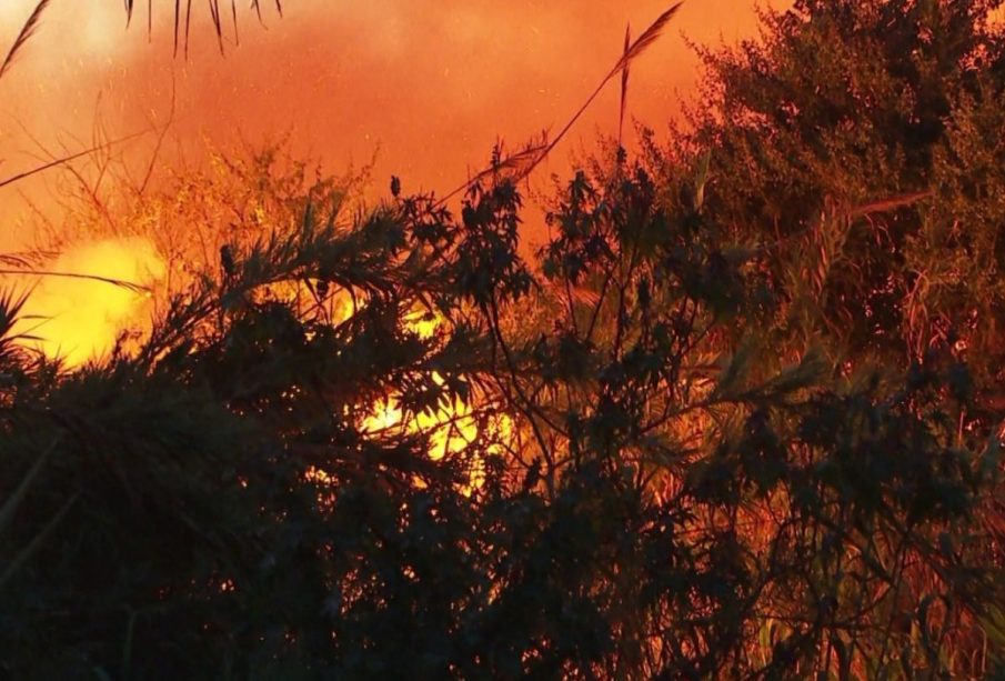 Incendio forestal