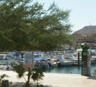 Marina de Cabo San Lucas