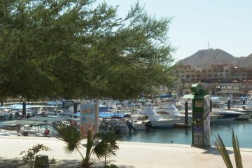 Marina de Cabo San Lucas