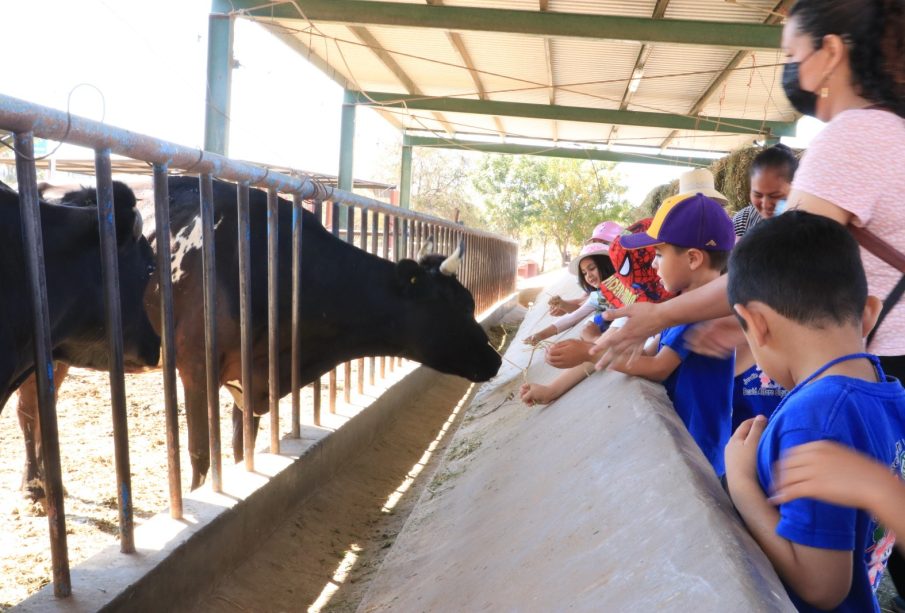 Niños con animales