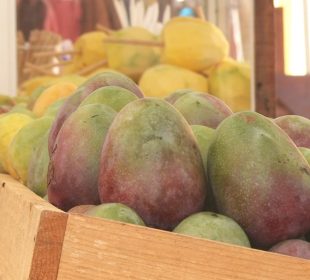 Puesto de mangos