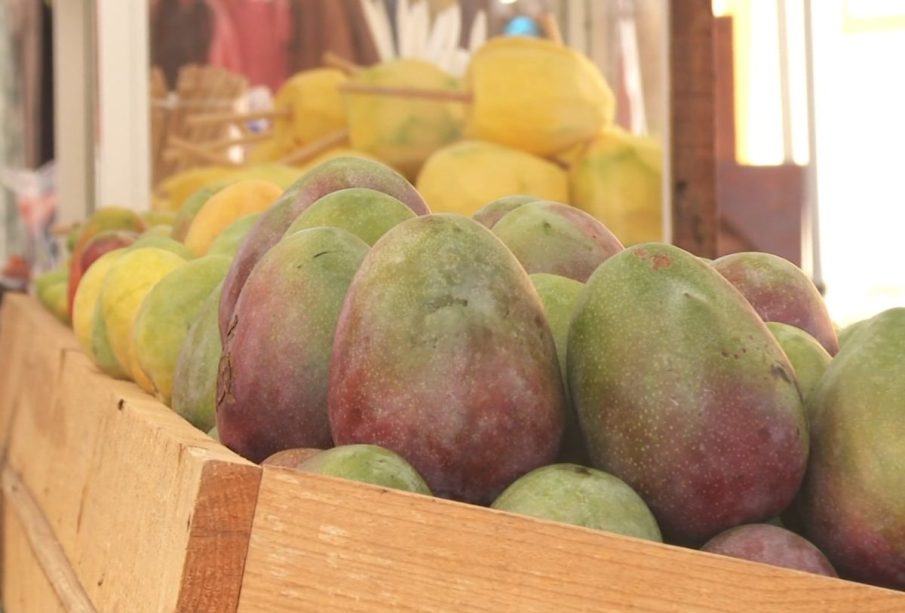 Puesto de mangos