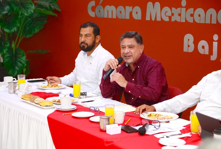 Homero Davis Castro, candidato a senador