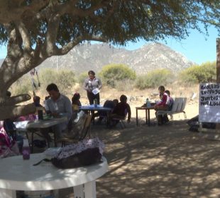 Salón de clases bajo un árbol