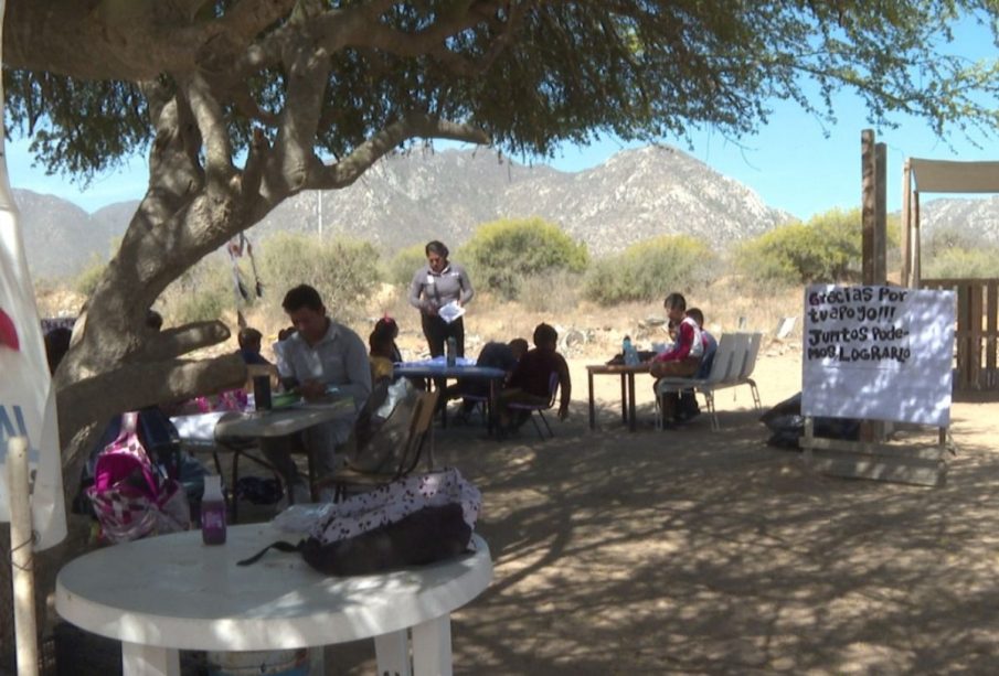 Salón de clases bajo un árbol