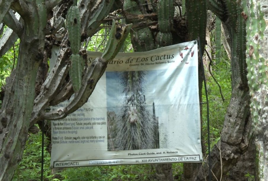 Santuario de los Cactus