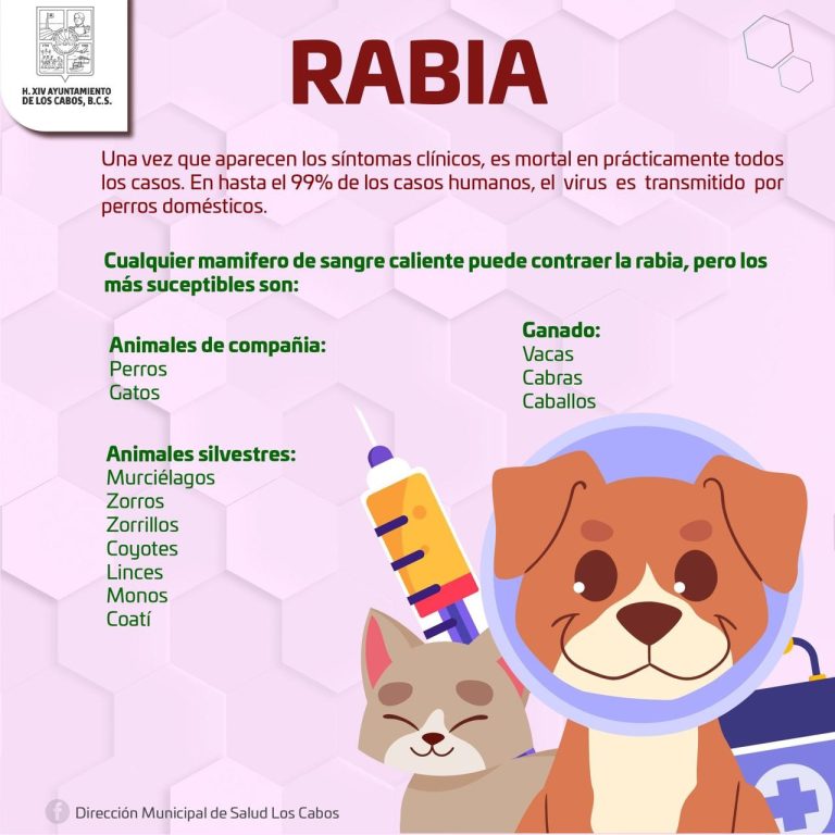 Se deben tomar medidas preventivas ante la rabia