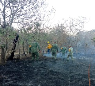 Suspenderán clases en Chilpancingo y Acapulco por incendios
