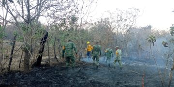 Suspenderán clases en Chilpancingo y Acapulco por incendios