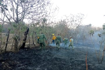 Suspenderán clases en Chilpancingo y Acapulco por incendios