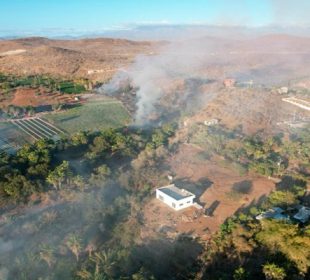 En tres meses 20 incendios forestales azotaron Todos Santos
