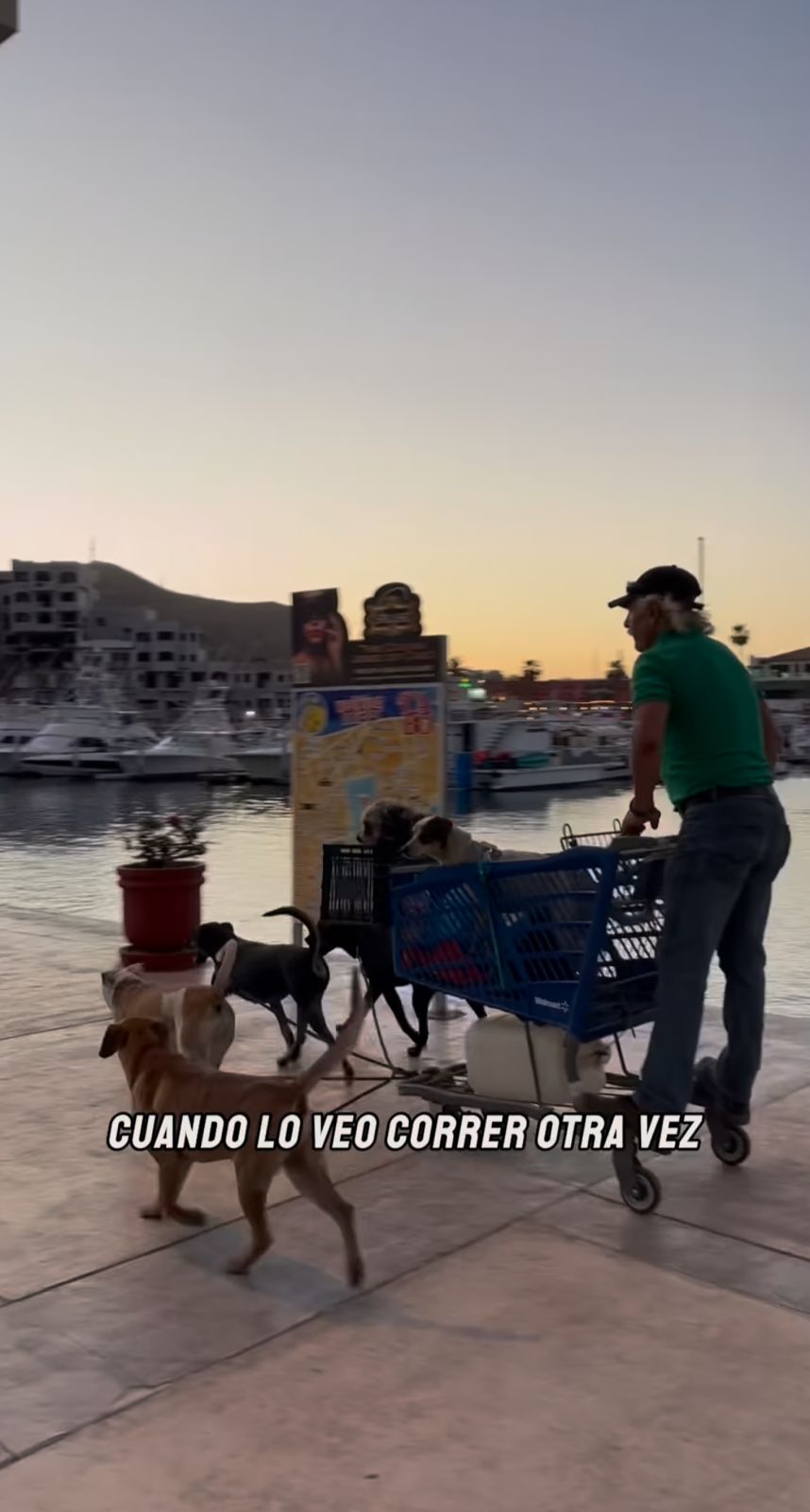 Conoce la historia del "Santa Claus de Cabo": Hombre recorre calles con su "trineo" de perros