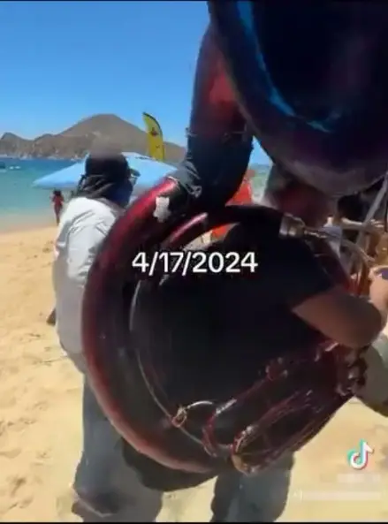 Extranjera ofrece "mordida" a inspector fiscal en Los Cabos tras incidente con banda sinaloense