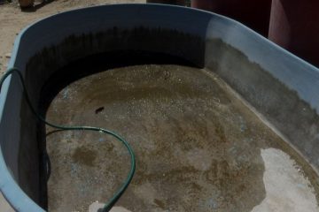 Más de 15 días sin agua potable en la colonia Centro de La Paz; vecinos desesperados