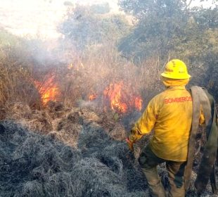 Incendio forestal en México