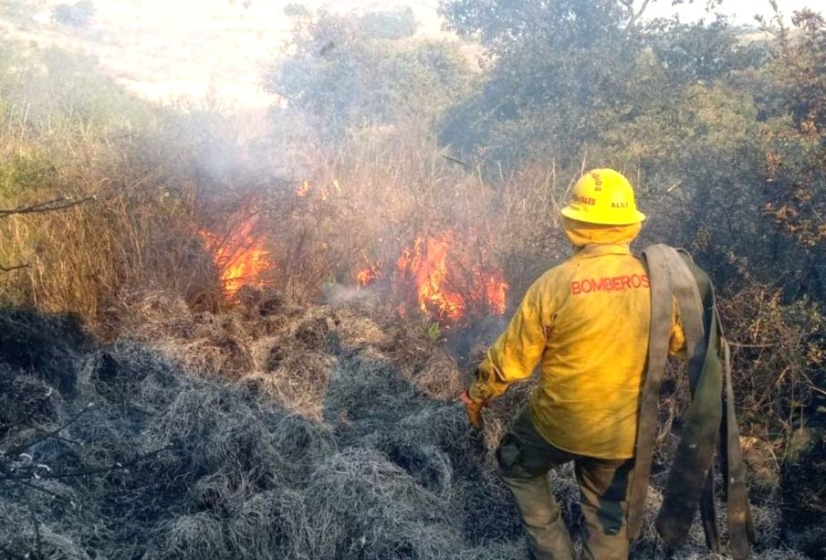 Incendio forestal en México