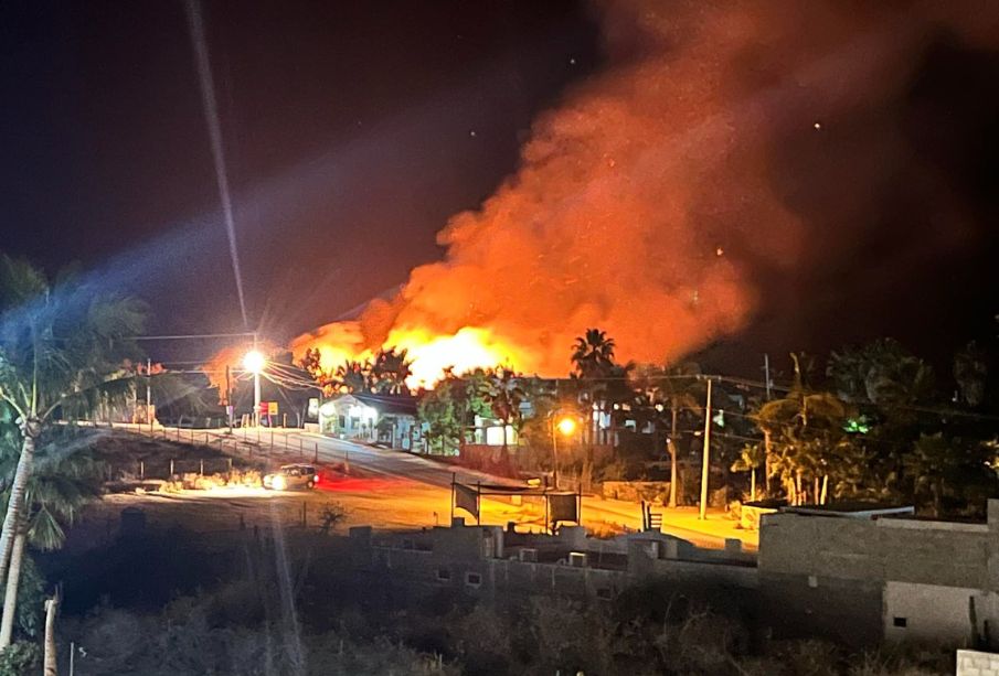 Incendio forestal arrasa con vegetación de Las Playitas, en Todos Santos