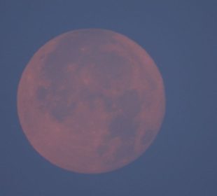 (VIDEO) Así se vivió la Luna Rosa de abril en BCS