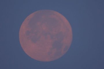 (VIDEO) Así se vivió la Luna Rosa de abril en BCS