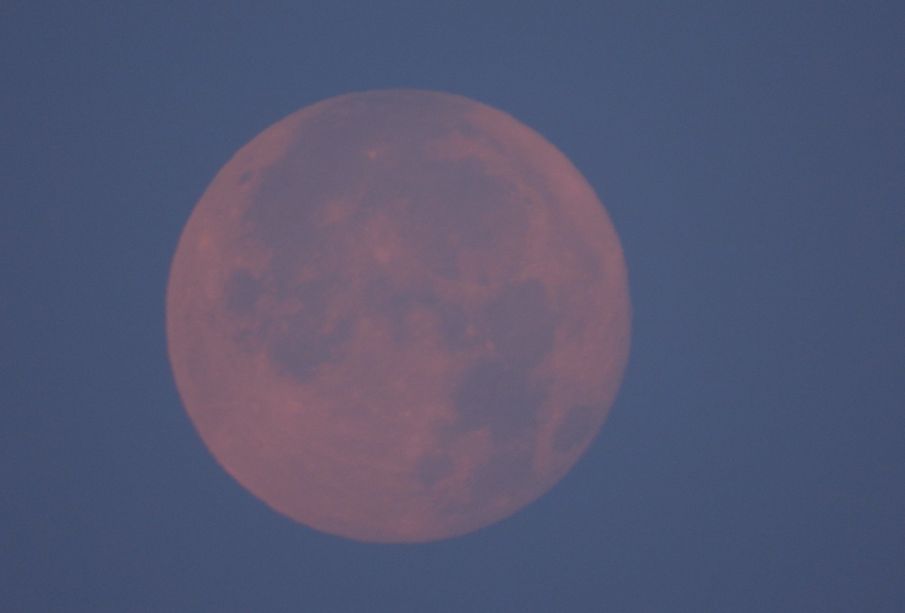 (VIDEO) Así se vivió la Luna Rosa de abril en BCS