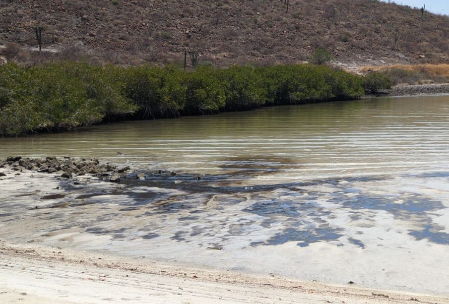 Exhiben derrame de hidrocarburos en el área natural protegida de Balandra