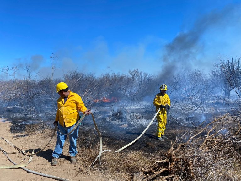 Bomberos en incendio forestal de Boca de la Sierra