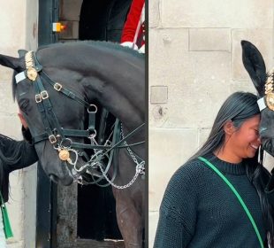 Caballo de la guardia real acercándose a chica