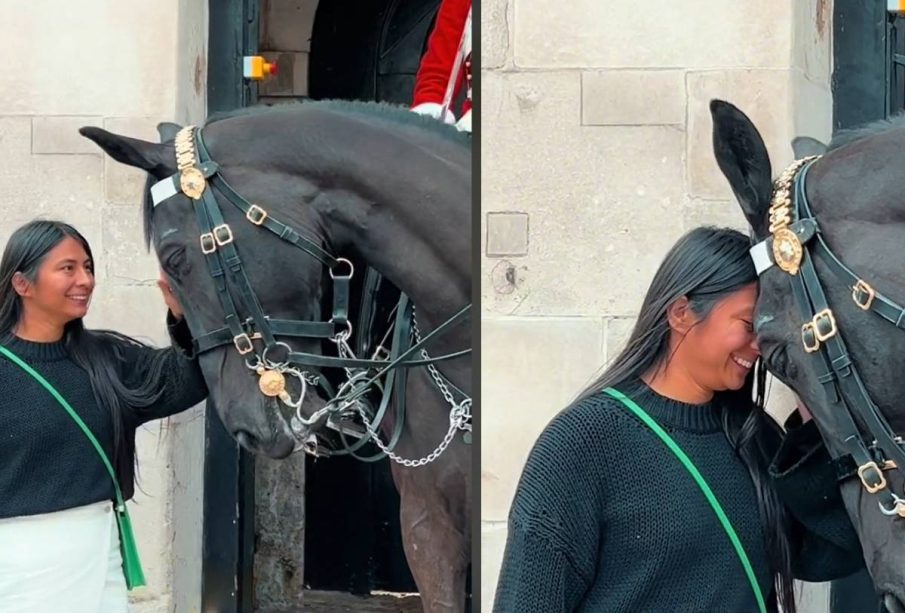 Caballo de la guardia real acercándose a chica