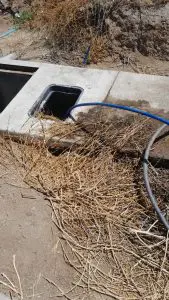 Pipas sustraían agua de 21 tomas clandestinas en La Paz; denuncian a huachicoles de Olas Altas