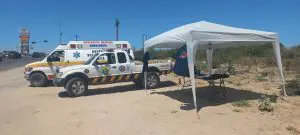 Grupo Calafia reúne fondos para ampliar la atención de enjambres de abejas