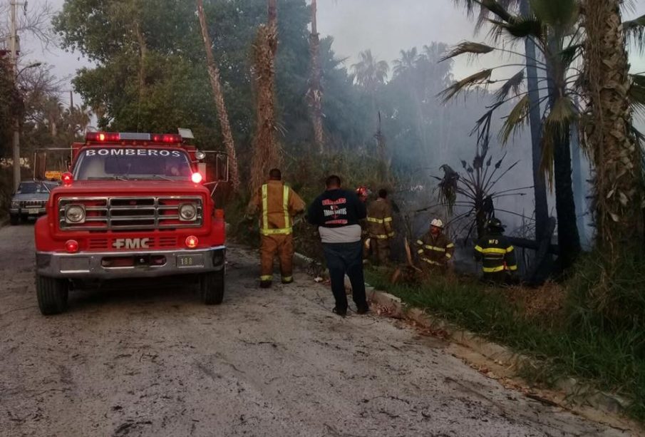 Limpian palmares de Todos Santos para mejorar tiempo de respuesta ante incendios