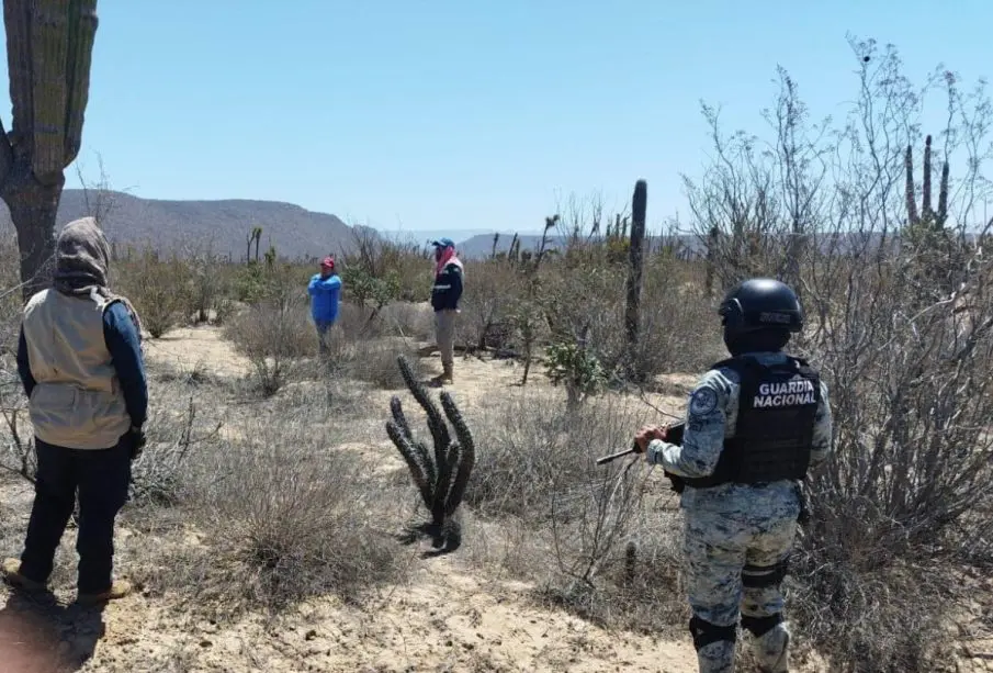 Búsqueda de desaparecidos