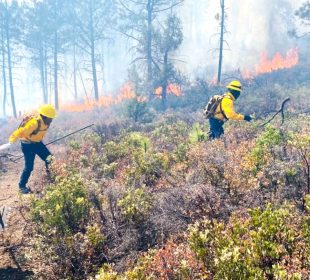 Incendios forestales