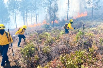 Incendios forestales