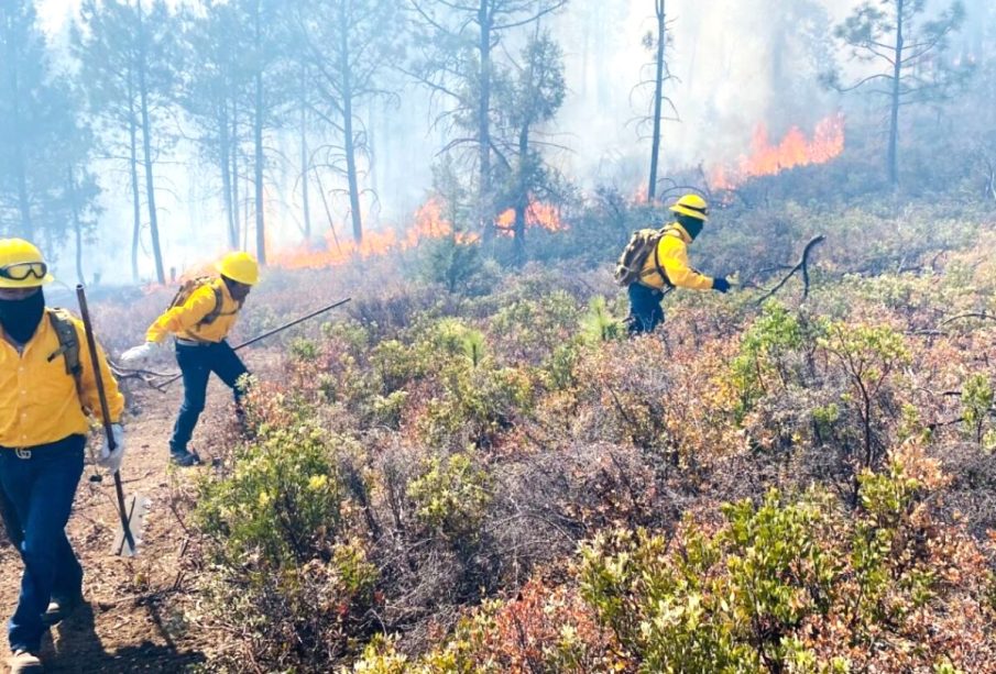 Incendios forestales