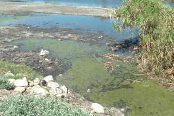 Estero contaminado