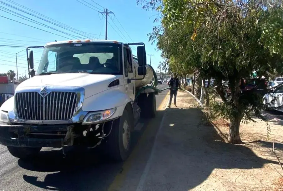 Riego sistemático de las áreas verdes