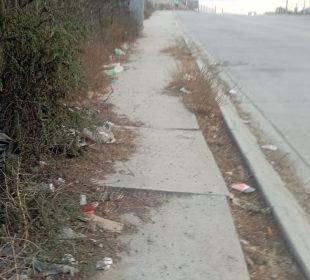 Basura y animales muertos inundan el Bulevard Forjadores