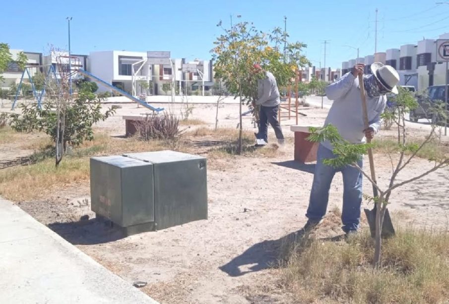 Limpieza en parques