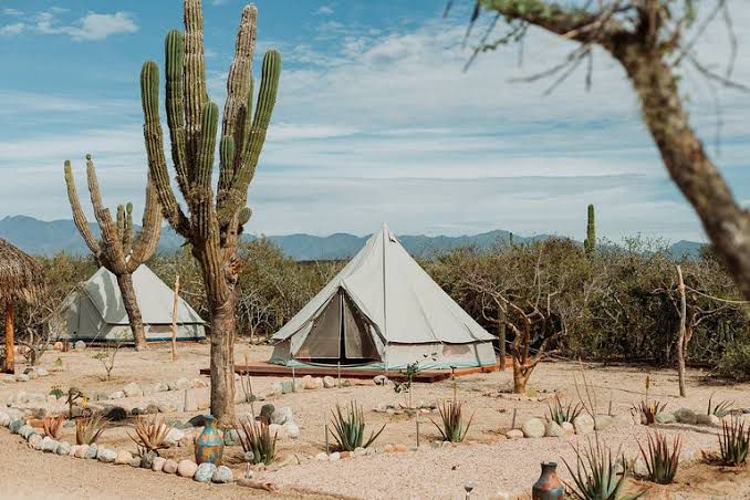 Los Cabos aventuras únicas en glamping para millennials