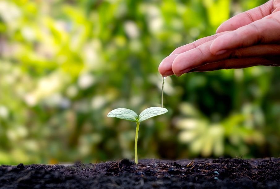 Día Mundial del Medio Ambiente: Datos curiosos del planeta que debes conocer