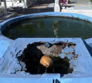 Denuncian condiciones insalubres en el panteón los Sanjuanes