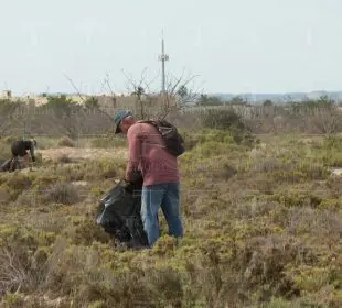 CEMDA presentan la agenda ambiental para la próxima Presidenta de México