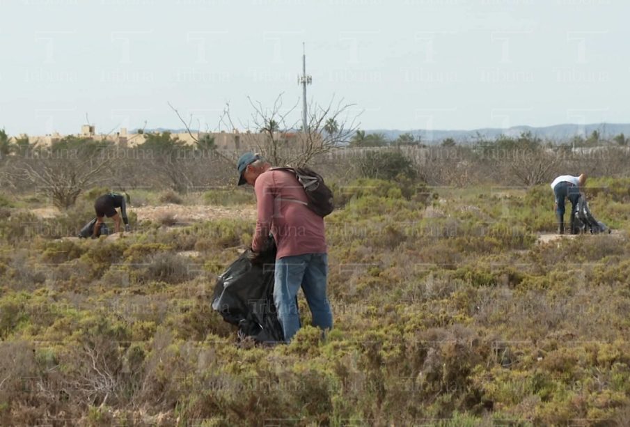 CEMDA presentan la agenda ambiental para la próxima Presidenta de México