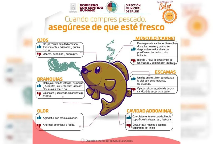 Pescados y mariscos
