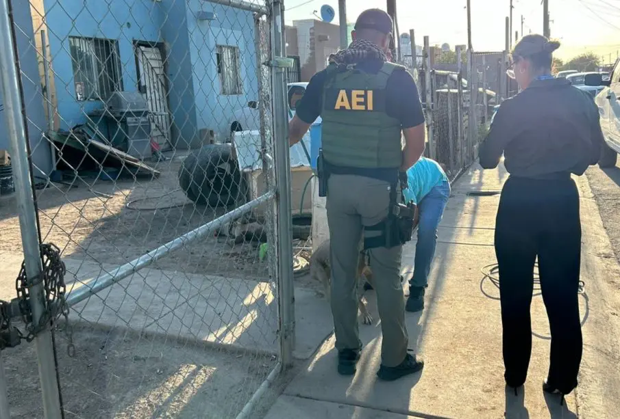 Presunto maltrato animal genera cateo en domicilio de Mexicali BC