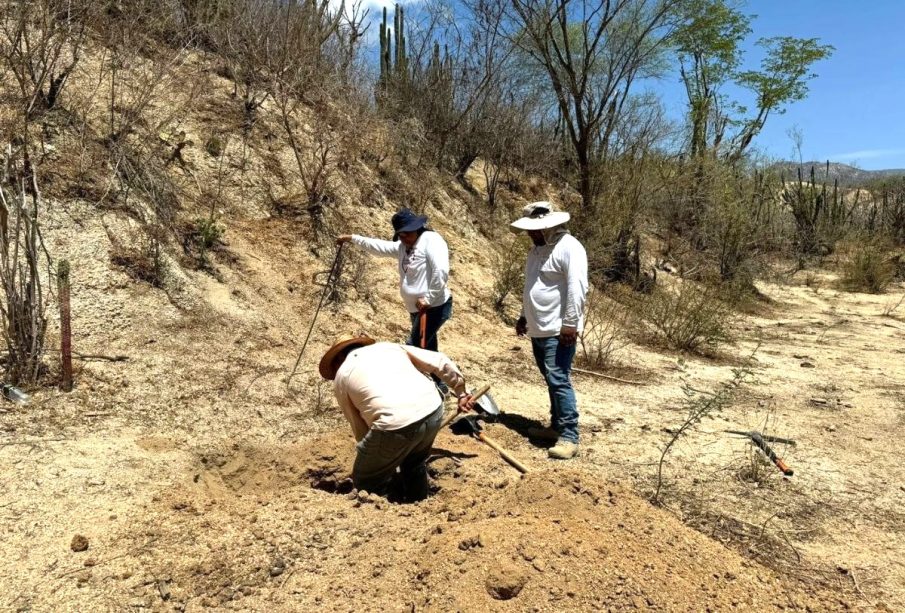 Buscan a personas desaparecidas en Los Cabos