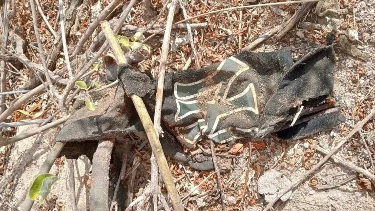 Descubren osamenta humana en La Paz