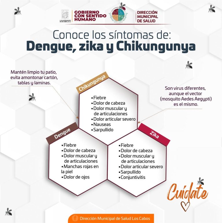 Evite automedicarse ante síntomas de dengue, chikungunya y zika